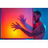 The Male Muse Livre photo PULP n°5